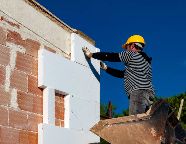 Best Insulation Removal  in Inesville, GA