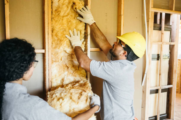 Best Energy-efficient Insulation  in Inesville, GA