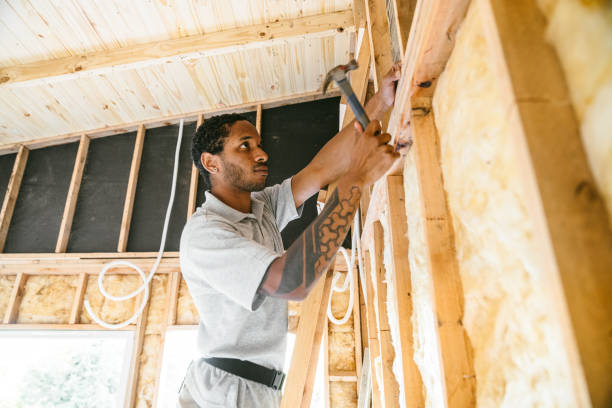 Best Crawl Space Insulation  in Inesville, GA